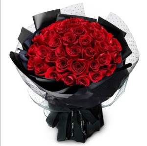 Eterfield 99 roses for your favorite princess, love will last forever Life together(Red Roses)