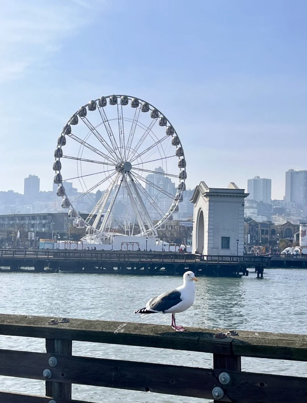 San Francisco 7-Day Travel Planner