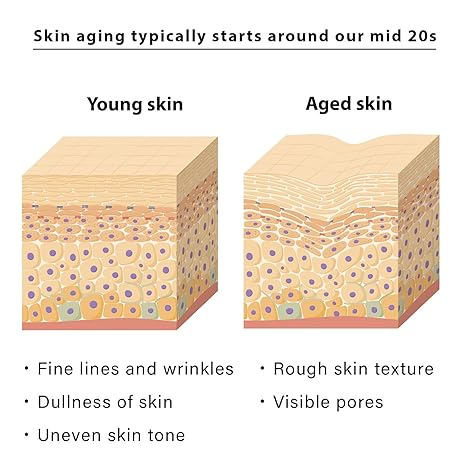 ARCTIC REJUVENATION BOOSTER Energy Facial Mask (5 Masks+ 5 Serum)