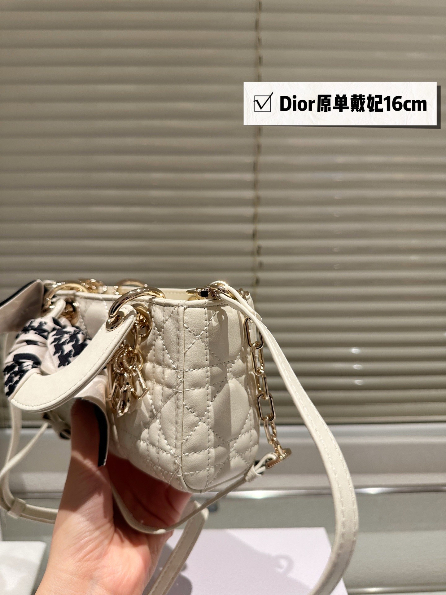 Dior Lady D-Joy Handbag