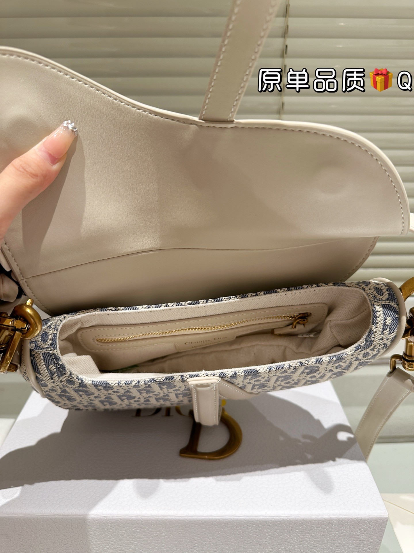 Dior Saddle Bag