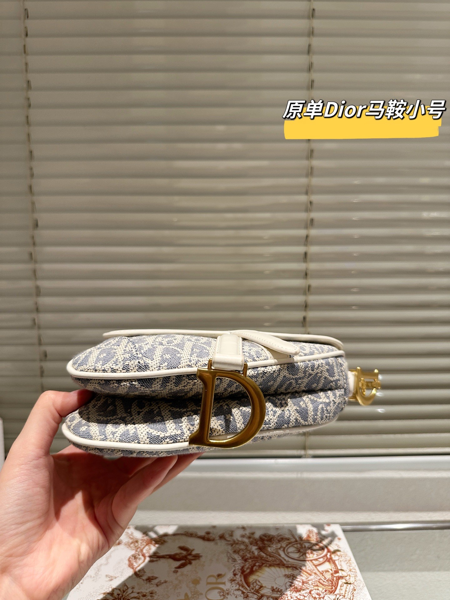 （Dior）Saddle bag