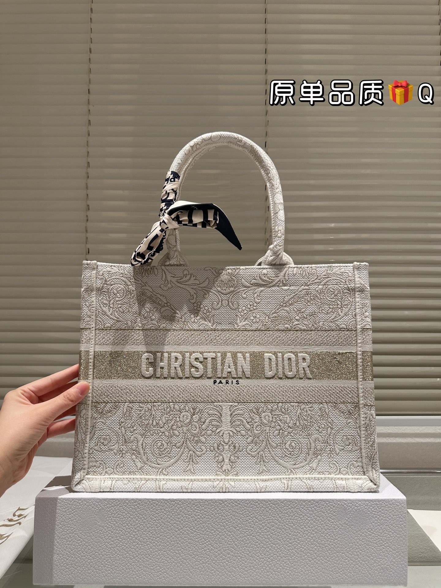 Dior Book Tote