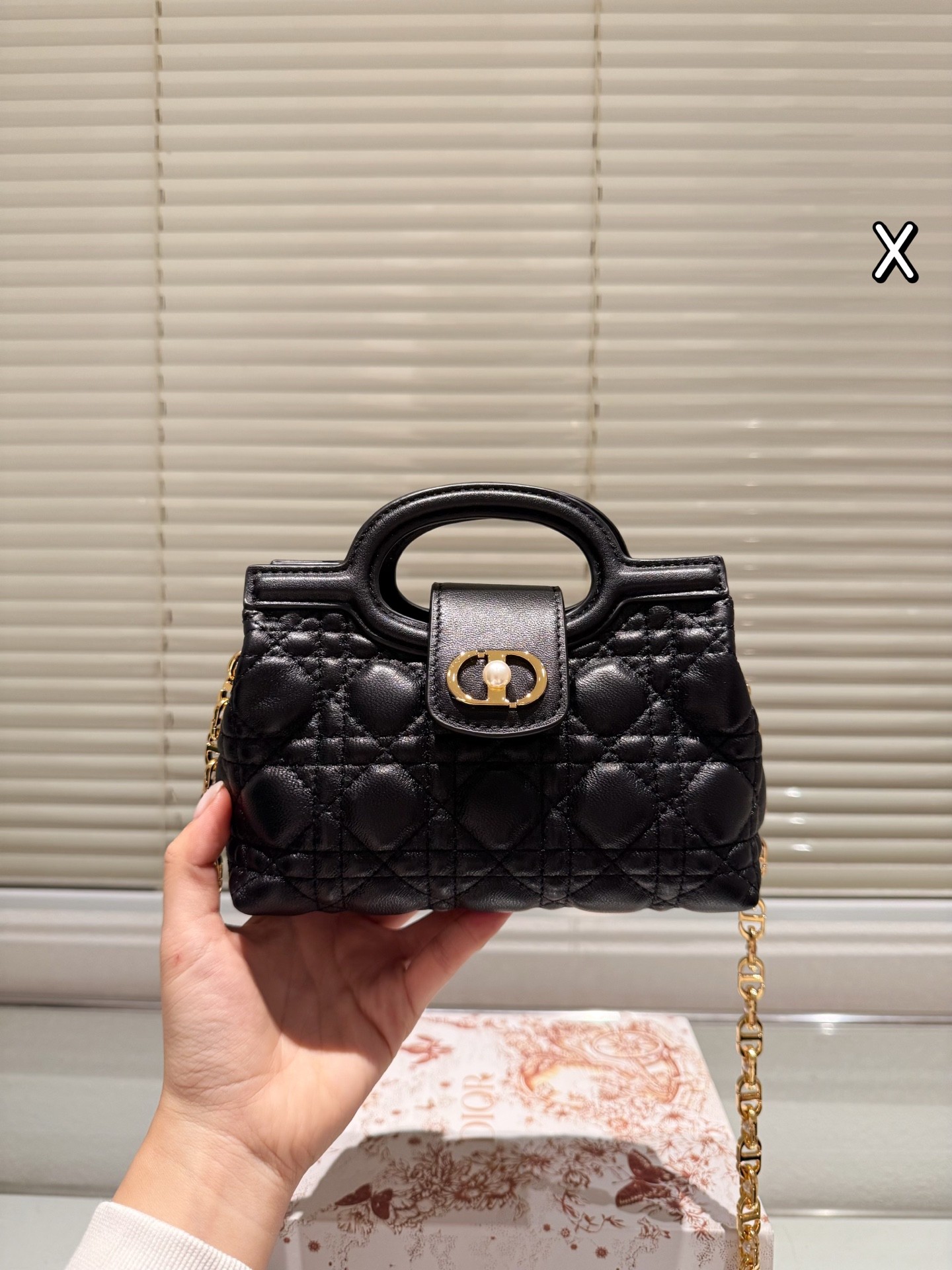 Dior Jolie Top Handle Mini Bag