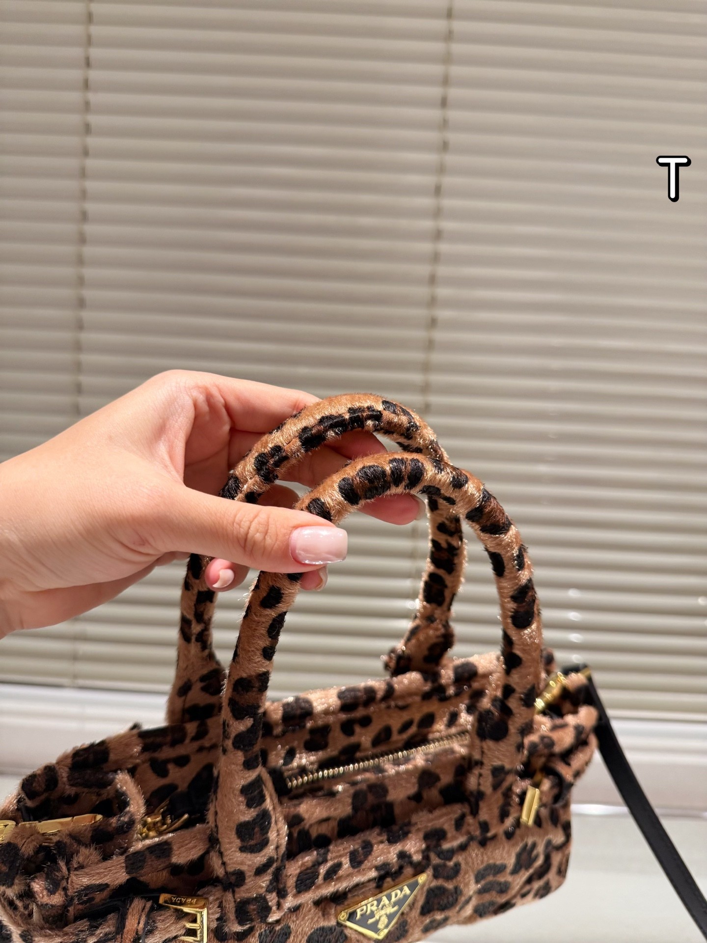 (Prada) Bonnie Mini Printed Leather Tote Bag