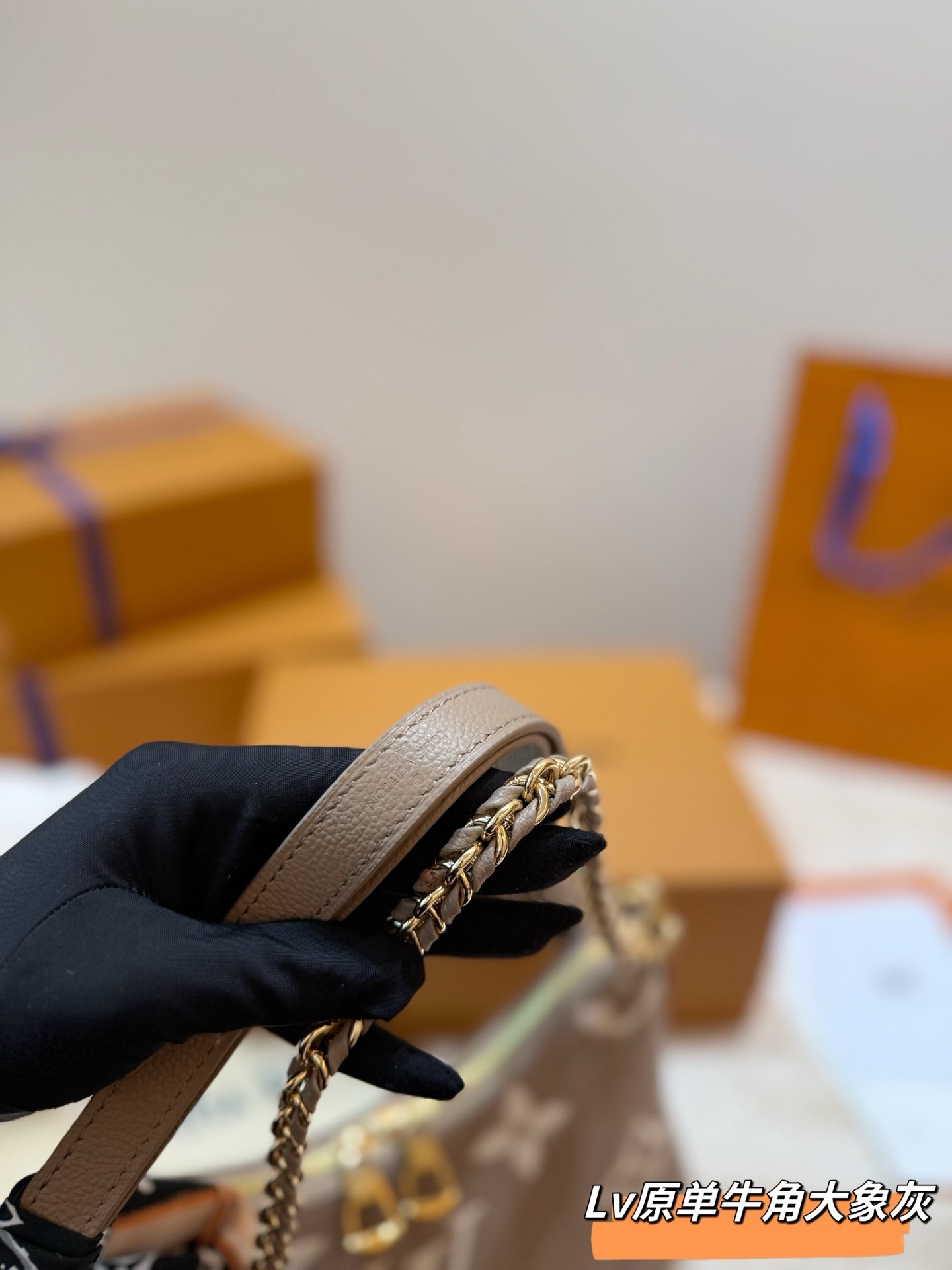 （Louis Vuitton） Boulogne PM。