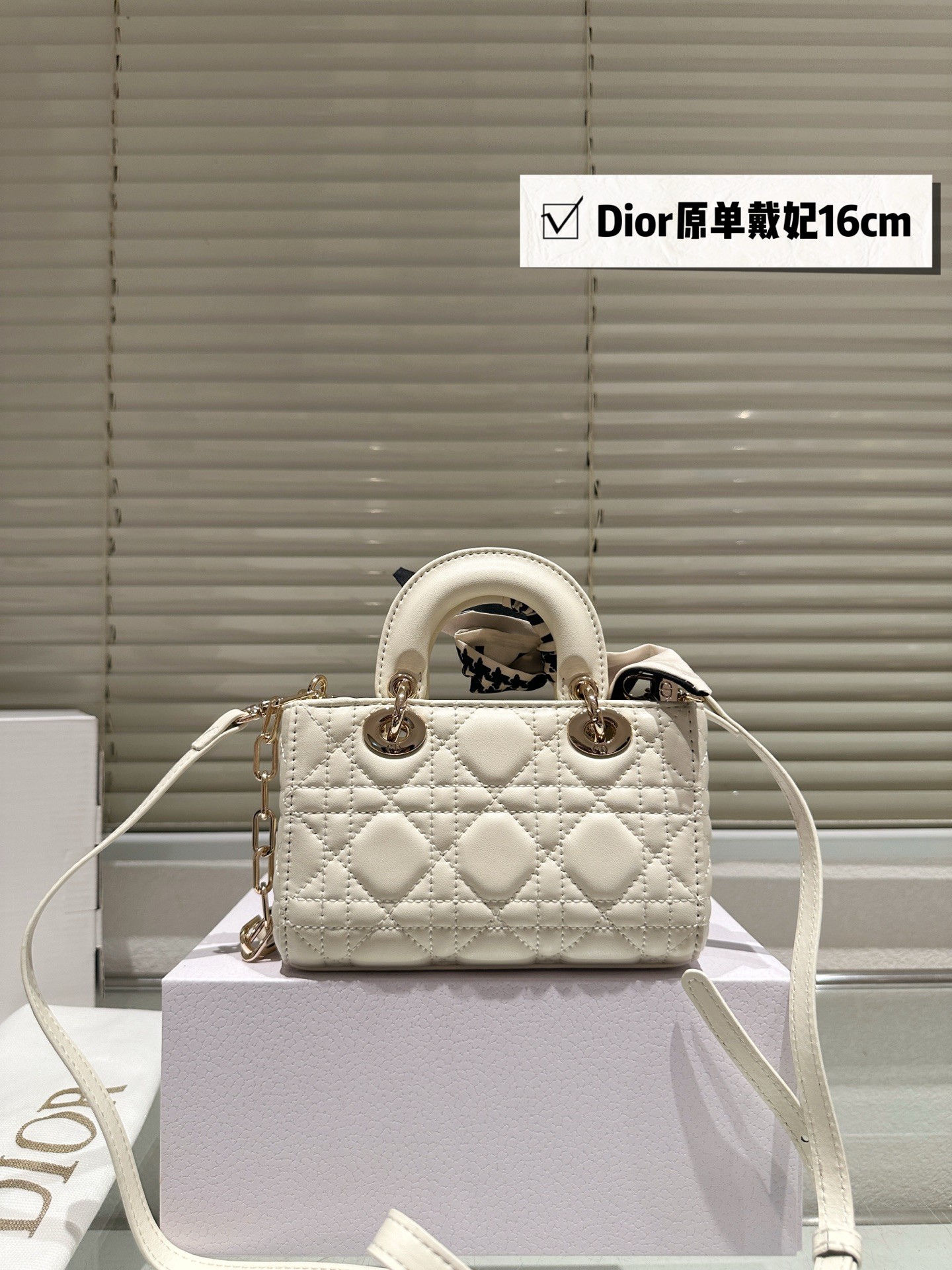 Dior Lady D-Joy Handbag