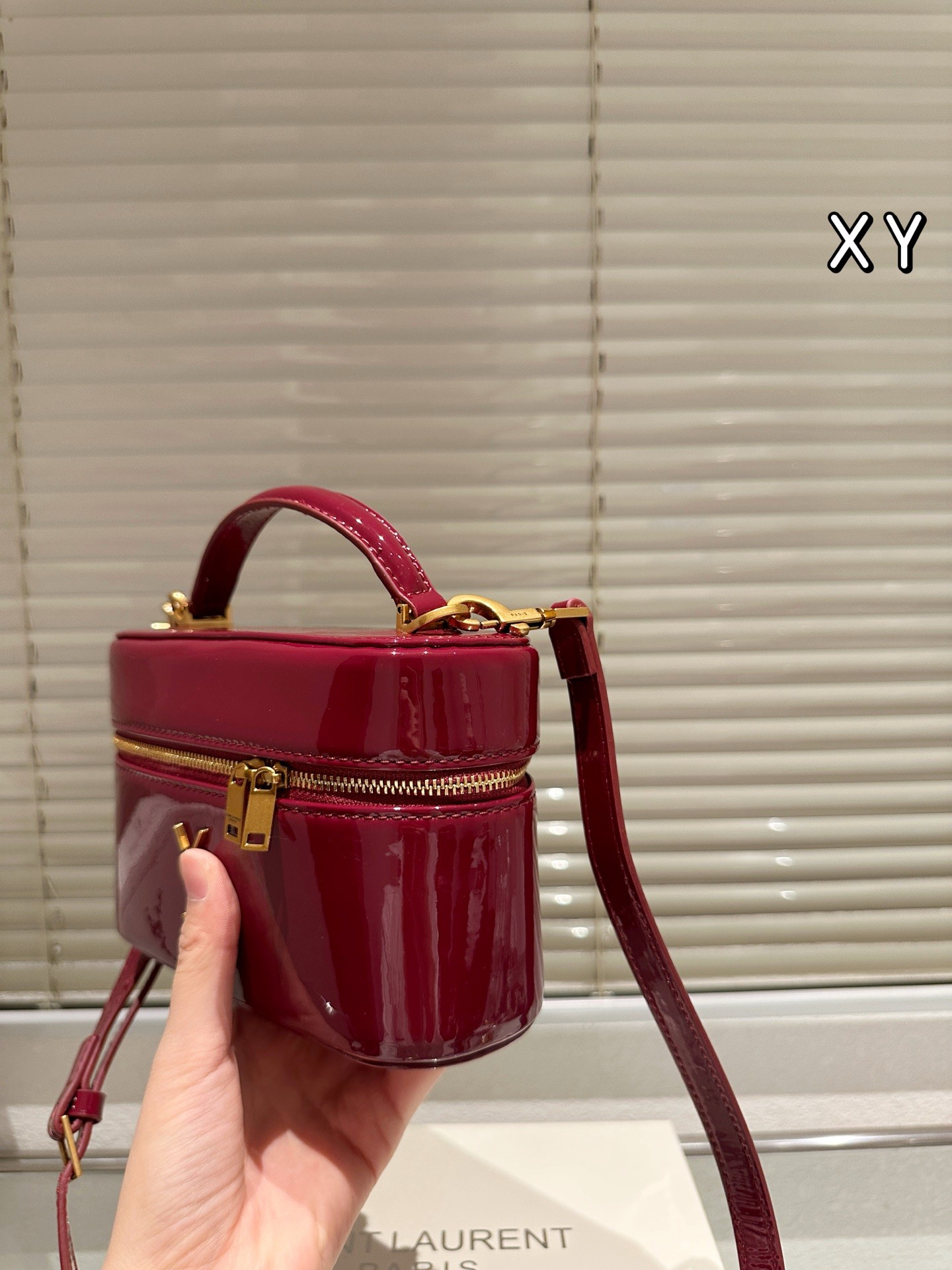 Saint Laurent Gaby Vanity Bag