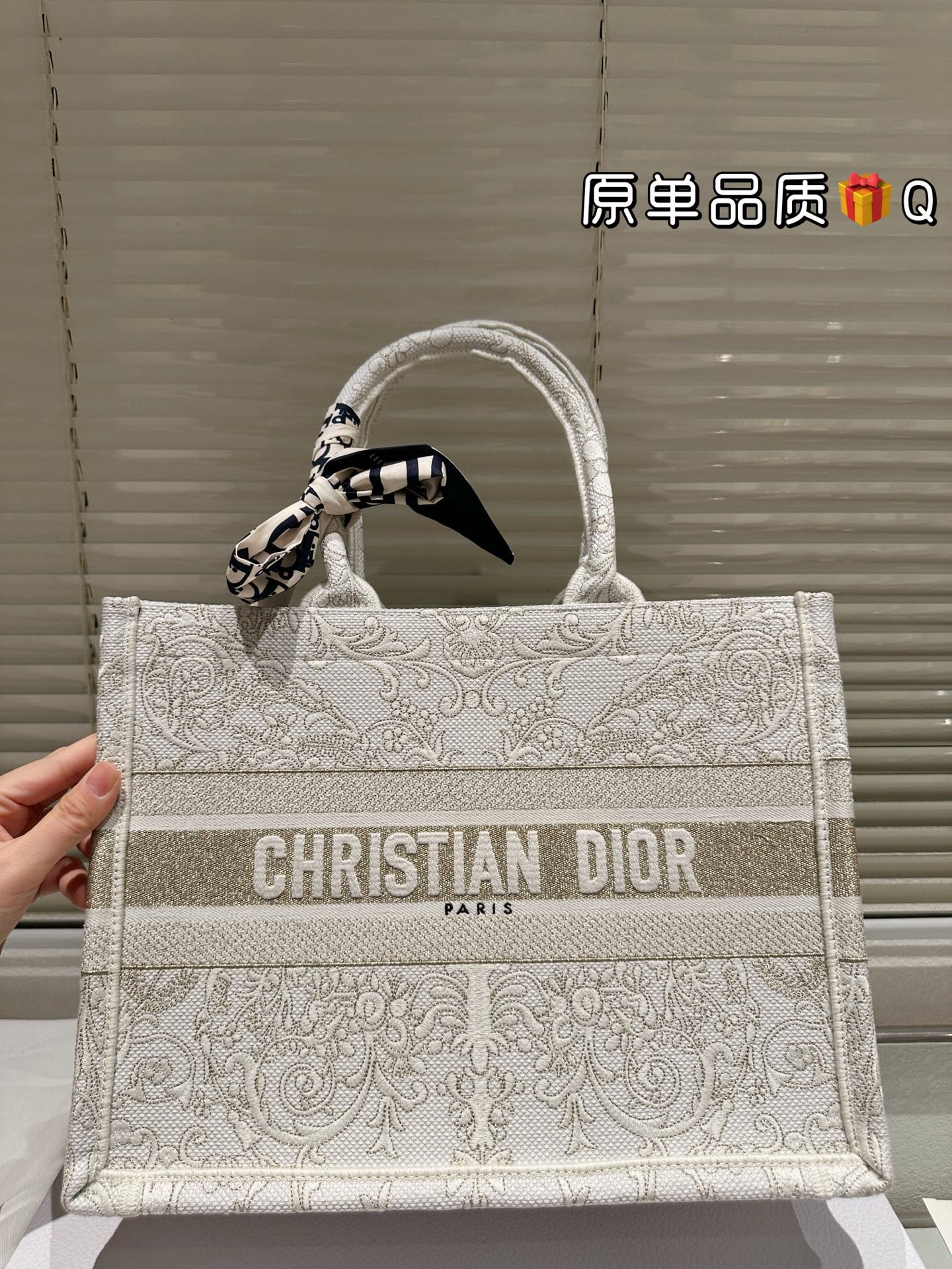 Dior Book Tote