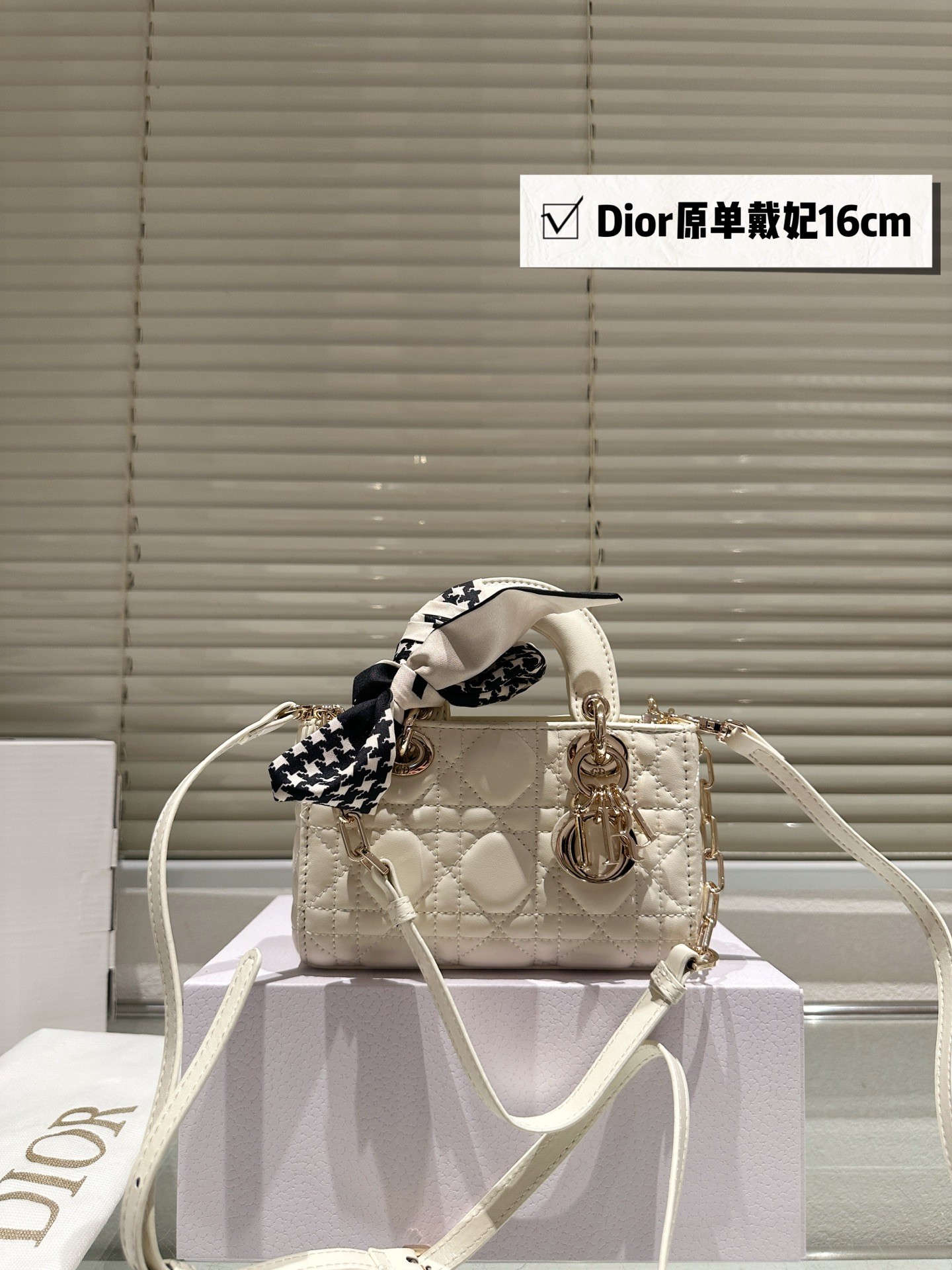 Dior Lady D-Joy Handbag