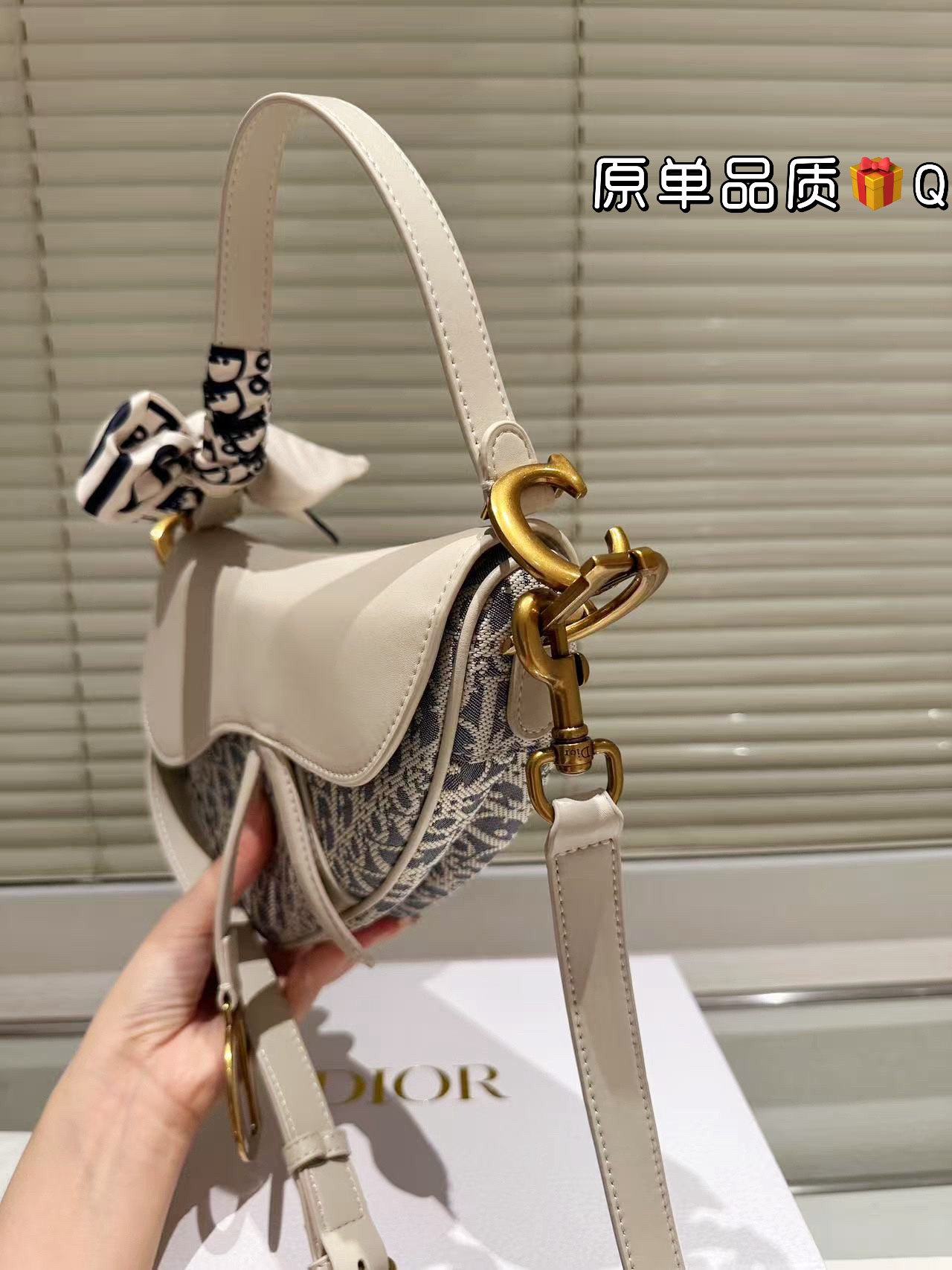 Dior Saddle Bag