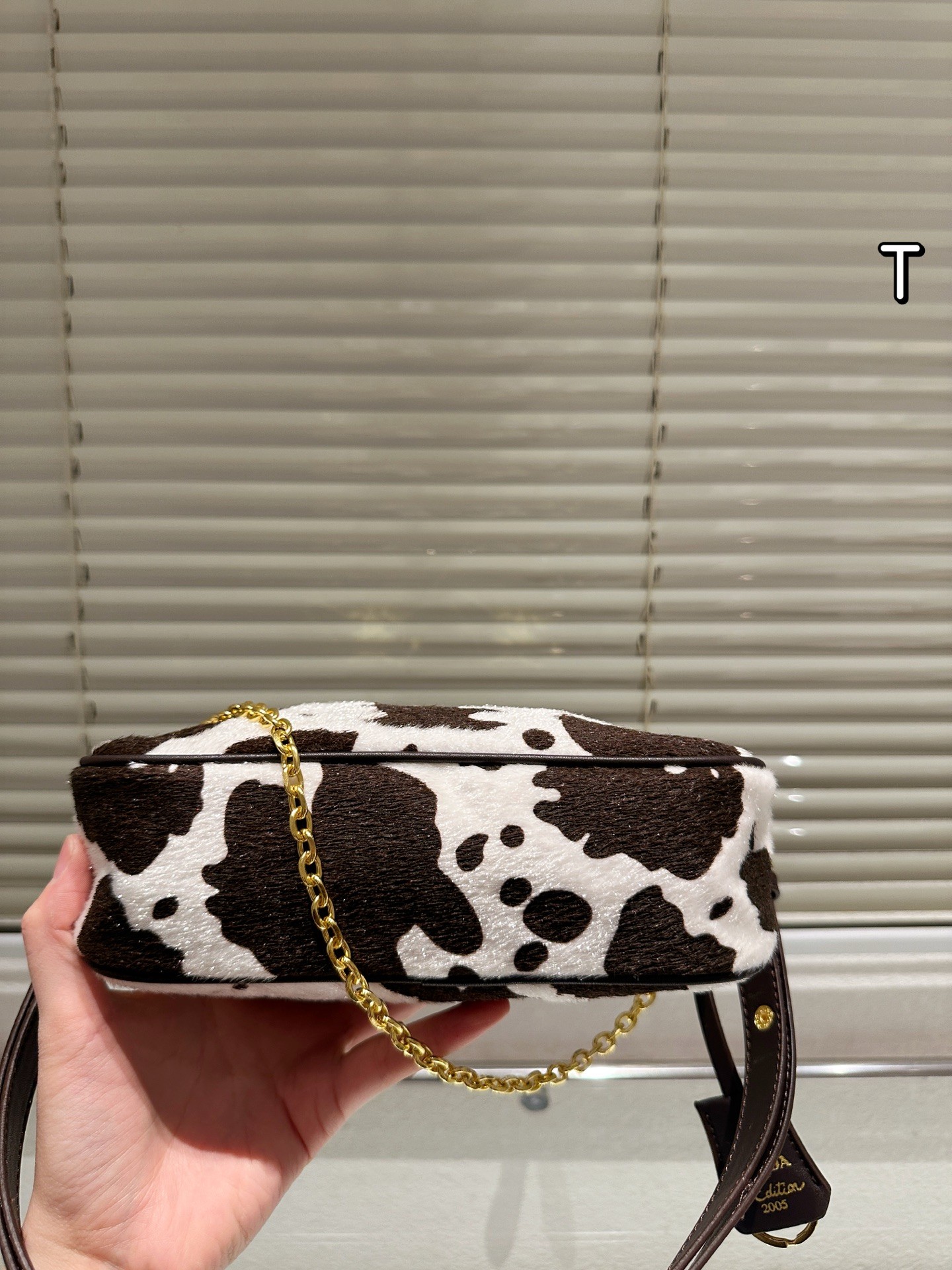 Prada Aimée Medium Printed Leather Shoulder Bag