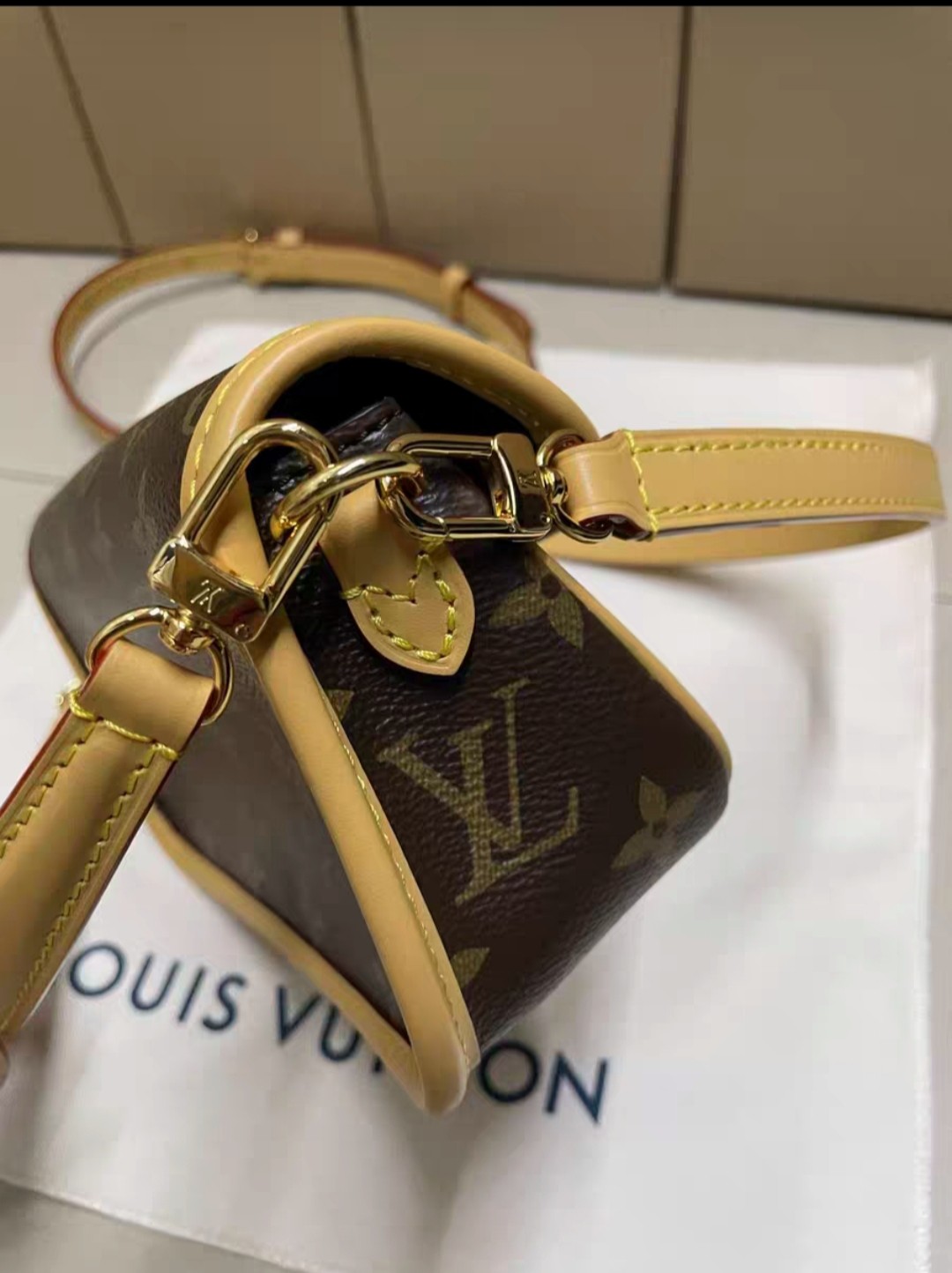 (Louis Vuitton) Diane