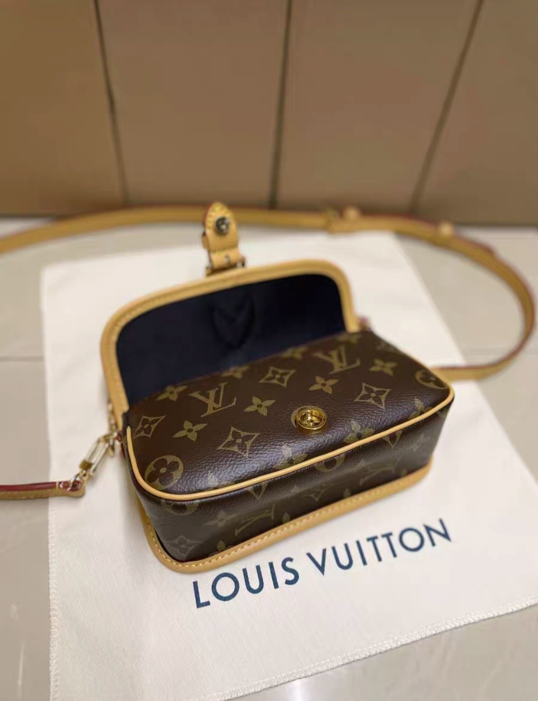(Louis Vuitton) Diane